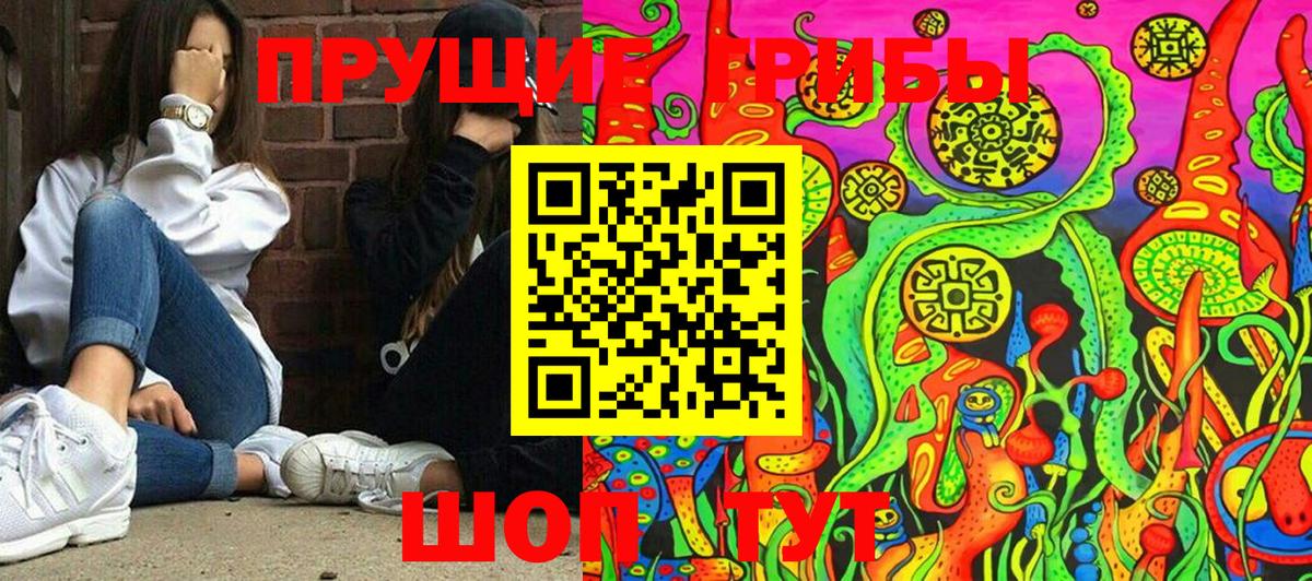 Обнинск  купить  сайты  Вход с VPN  Псилоцибиновые грибы мицелий  Галлюциногенные грибы Psilocybine cubensis 
