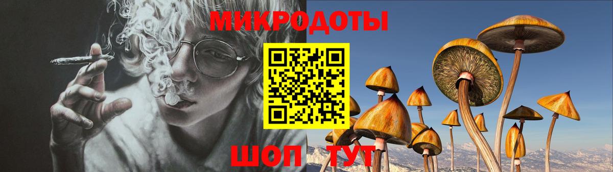 Галлюциногенные грибы Psilocybe Обнинск